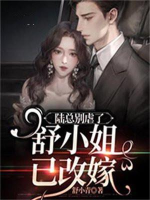 陆总别虐了舒小姐已改嫁