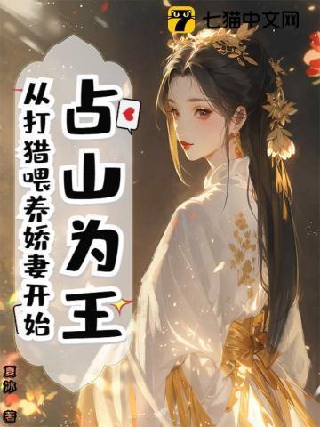 占山为王 土匪攻