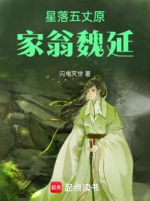 星落秋风五丈原日文