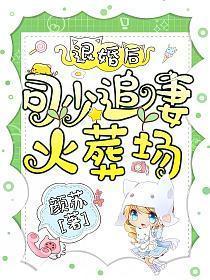退婚后司少追妻火葬场