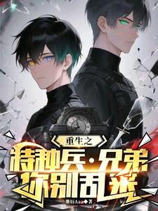 重生之特种兵兄弟你别乱来337章完整版