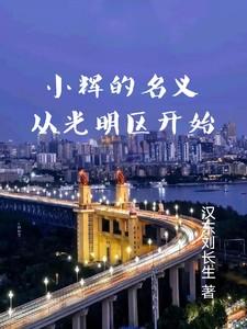 小辉的名义从光明区开始在线阅读