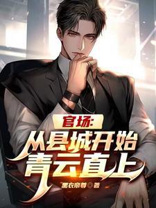 官场从乡到县市再到省委书记