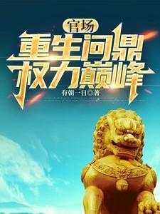 官场问鼎全集免费阅