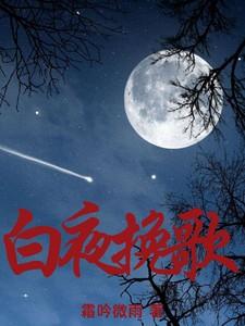 白夜歌词表达了什么