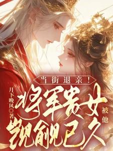 我让将军入赘了
