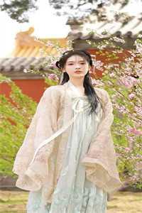 女主叫叶桃的穿越