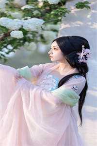 叶辰与陆雪琪