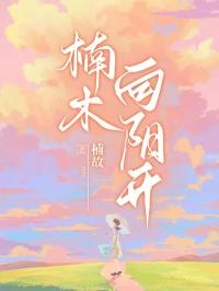 楠木向北免费阅读