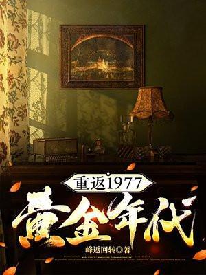 重返1977黄金年代免费观看最新章节