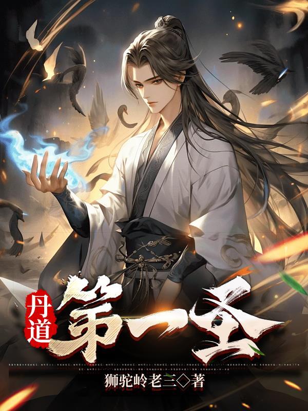 丹道第一圣动漫在线观看