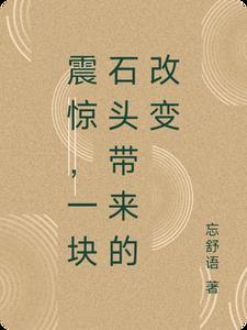 一块石头的价值
