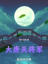 大唐天将军全本TXT