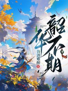 韶华不复的意思