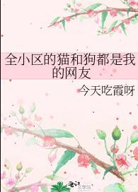 小区里的猫是流浪猫吗