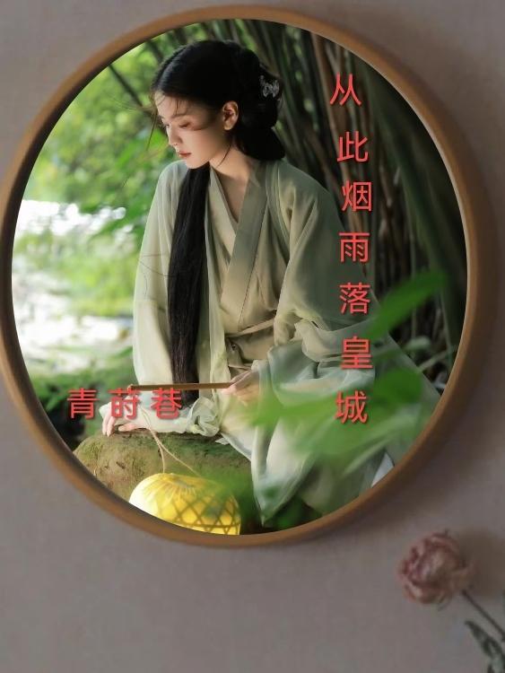 从此烟雨落金城顶点