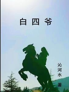 白四爷说人物特点