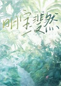 明宝斐然TXT盘