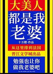大美人都是我老婆晋江