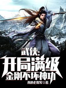 武侠开局满级金刚不坏神功书