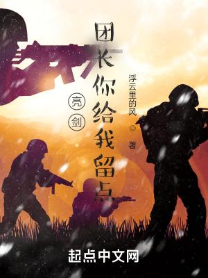 亮剑之小团长