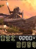 重生之盾御苍穹怎么样