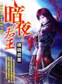暗夜君王叶君临免费视频全集