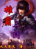 雄霸三国志阵容
