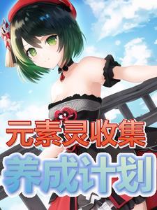元素灵使卡组