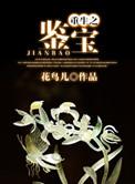重生之鉴宝捡漏王全集免费观看
