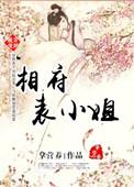 穿越之相府表小姐百科