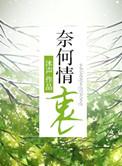 奈何情衷补车