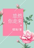 忽然你走来作者楼海