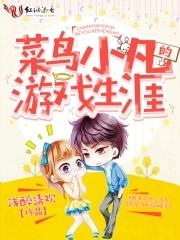 小菜鸟啥意思
