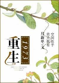 重生1973宋芸大结局
