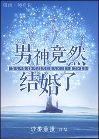 男神结婚了txt